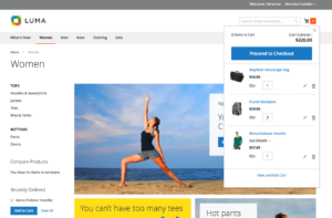 Default Magento 2 minicart